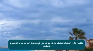 طقس حار.. الأرصاد تكشف عن تراجع تدريجي في درجات الحرارة بداية الأسبوع المقبل